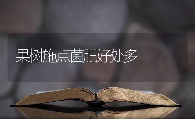 果树施点菌肥好处多 | 瓜果种植