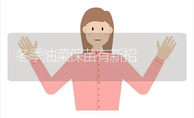 冬季油菜保苗有新招 | 粮油作物种植