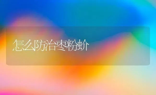 怎么防治枣粉蚧 | 瓜果种植