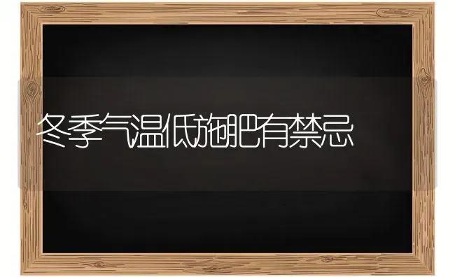 冬季气温低施肥有禁忌 | 种植肥料施肥