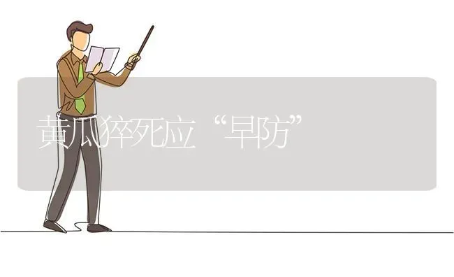 黄瓜猝死应“早防” | 蔬菜种植