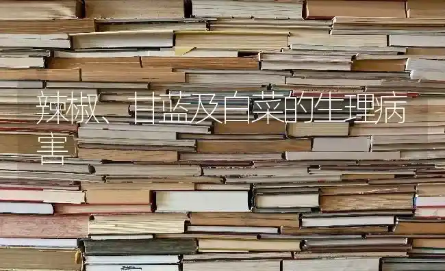 辣椒、甘蓝及白菜的生理病害 | 蔬菜种植