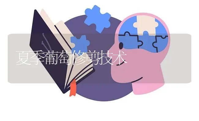 夏季葡萄修剪技术 | 瓜果种植