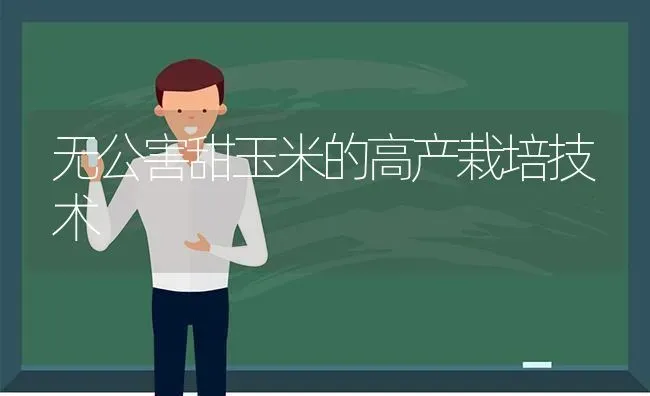 无公害甜玉米的高产栽培技术 | 粮油作物种植