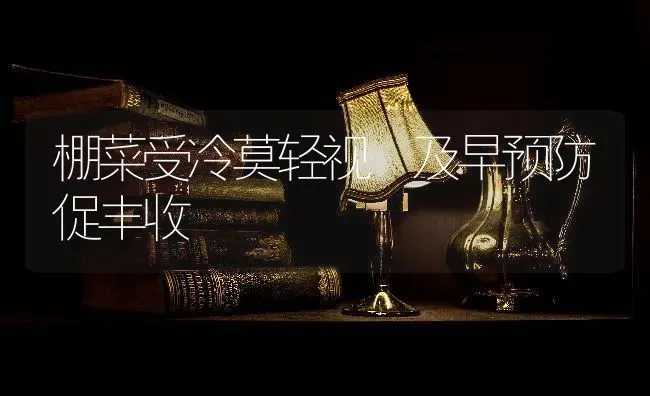 棚菜受冷莫轻视 及早预防促丰收 | 蔬菜种植