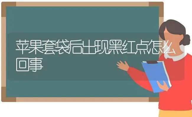 苹果套袋后出现黑红点怎么回事 | 瓜果种植