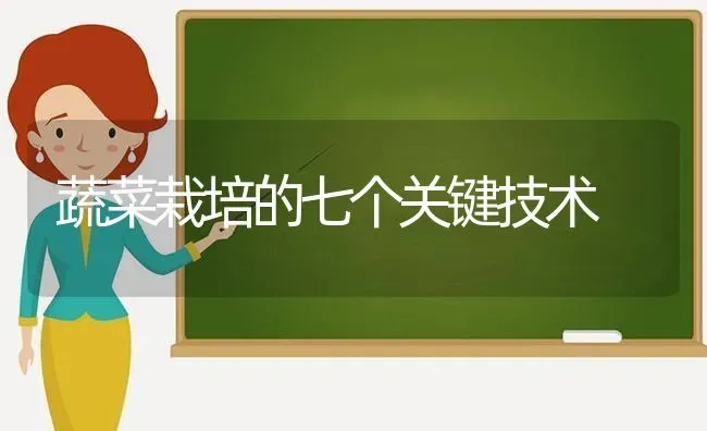 蔬菜栽培的七个关键技术 | 蔬菜种植