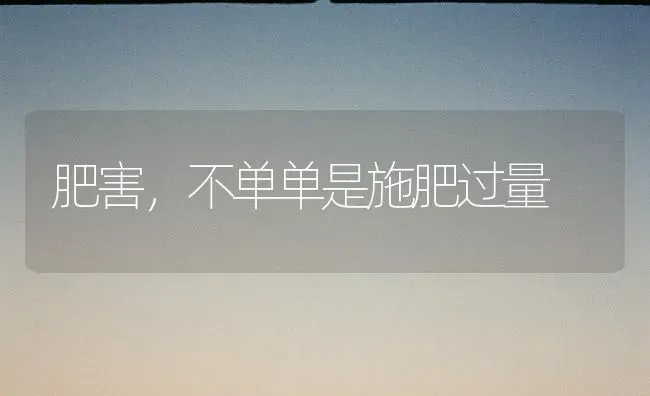 肥害，不单单是施肥过量 | 种植肥料施肥