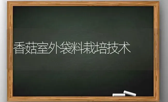 香菇室外袋料栽培技术 | 食用菌种植