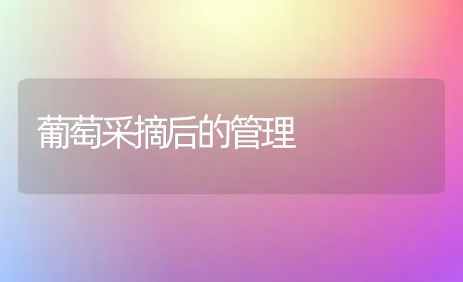 葡萄采摘后的管理 | 瓜果种植