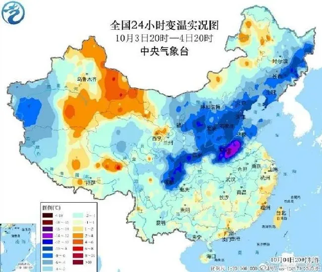 冬天植物|全国大部地区将降温 从今天起全国大面积降温