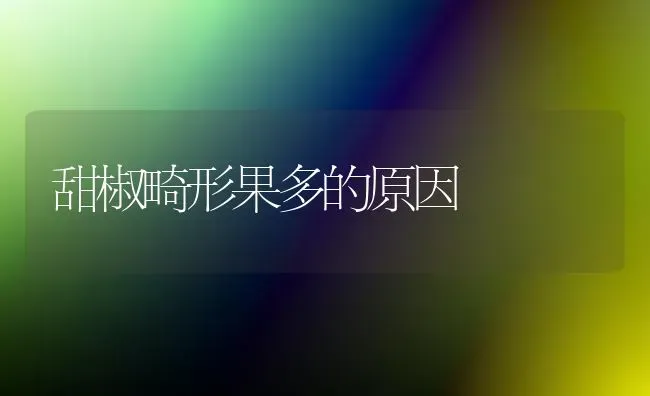 甜椒畸形果多的原因 | 瓜果种植