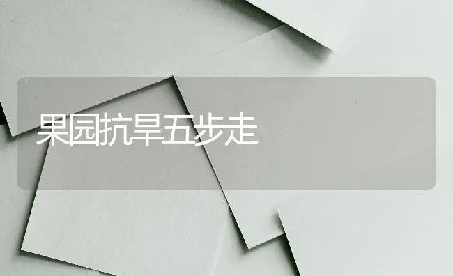 果园抗旱五步走 | 瓜果种植