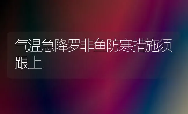 气温急降罗非鱼防寒措施须跟上 | 瓜果种植