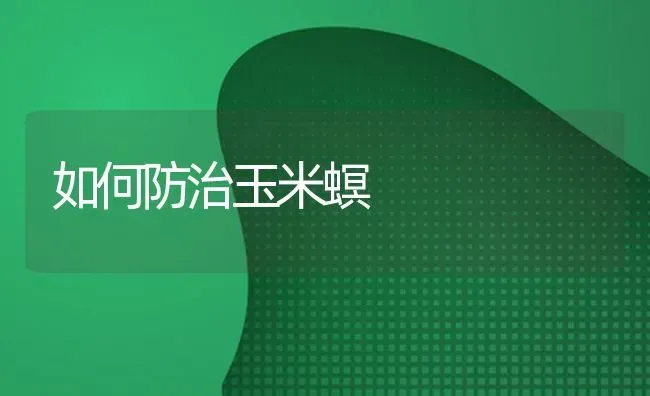 如何防治玉米螟 | 粮油作物种植