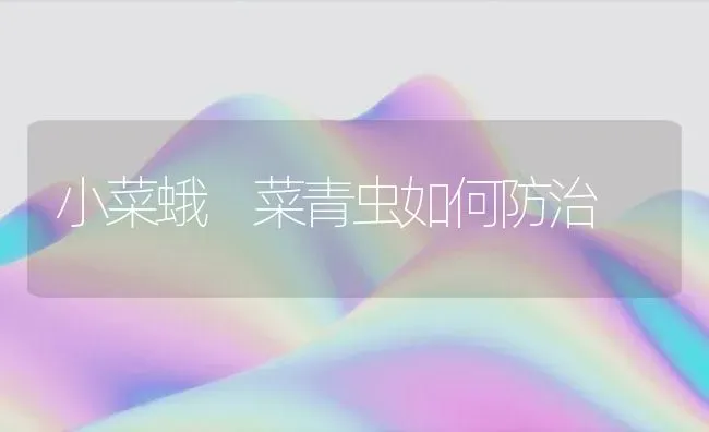 小菜蛾　菜青虫如何防治 | 蔬菜种植