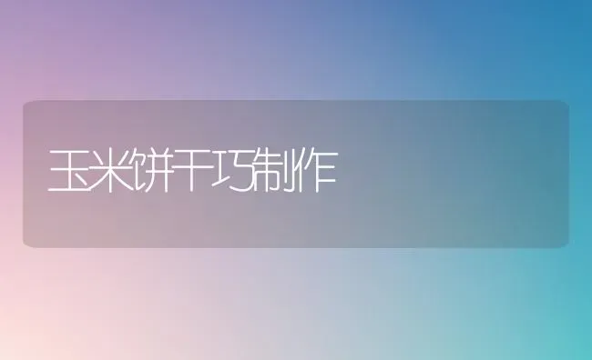 玉米饼干巧制作 | 粮油作物种植