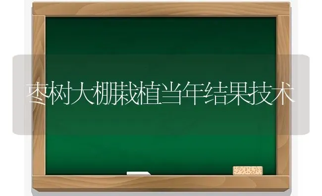 枣树大棚栽植当年结果技术 | 瓜果种植