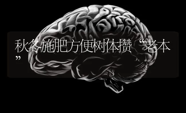 秋冬施肥方便树体攒“老本” | 种植肥料施肥