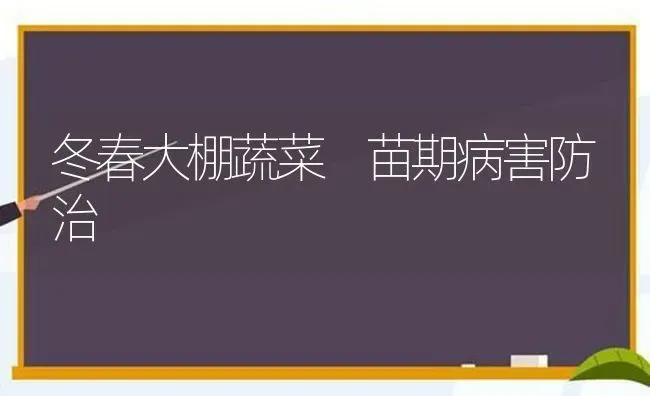 冬春大棚蔬菜 苗期病害防治 | 蔬菜种植