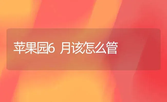 苹果园6月该怎么管 | 瓜果种植