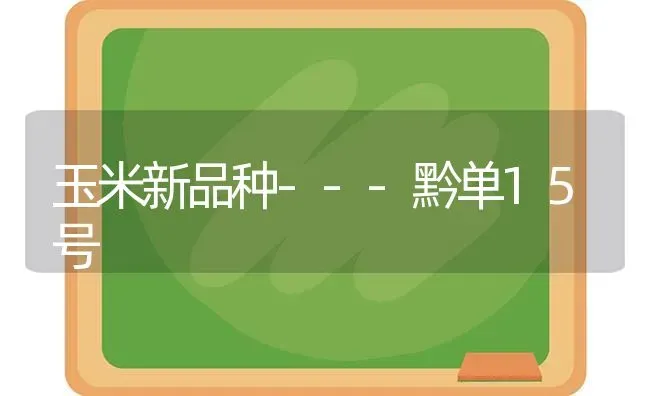 玉米新品种---黔单15号 | 粮油作物种植