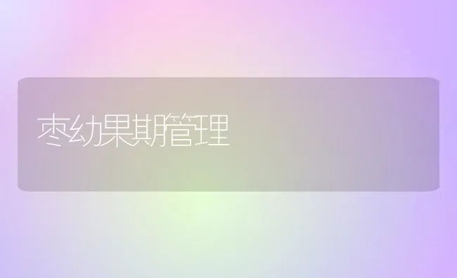 枣幼果期管理 | 瓜果种植