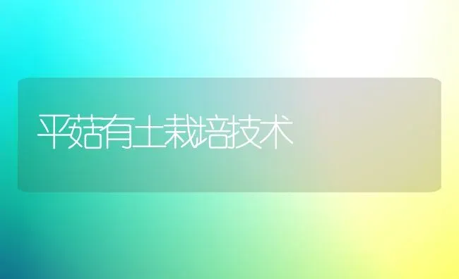 平菇有土栽培技术 | 食用菌种植