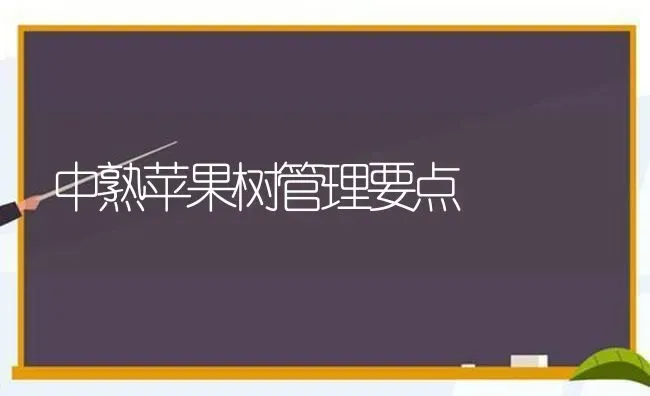 中熟苹果树管理要点 | 瓜果种植