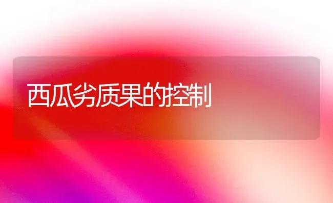 西瓜劣质果的控制 | 瓜果种植