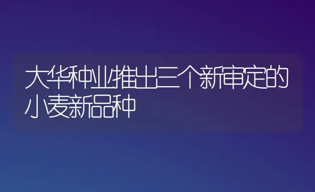 大华种业推出三个新审定的小麦新品种 | 粮油作物种植