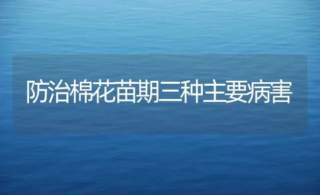 防治棉花苗期三种主要病害 | 粮油作物种植