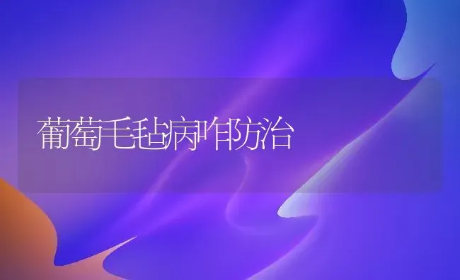 葡萄毛毡病咋防治 | 瓜果种植