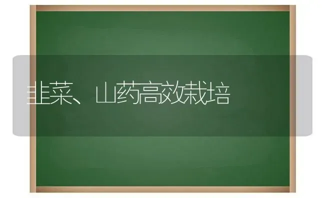 韭菜、山药高效栽培 | 蔬菜种植