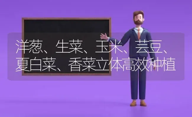 洋葱、生菜、玉米、芸豆、夏白菜、香菜立体高效种植 | 植物种植百科