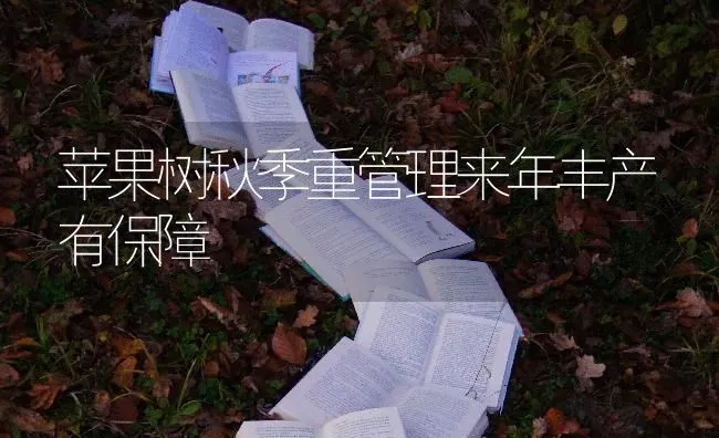苹果树秋季重管理来年丰产有保障 | 瓜果种植