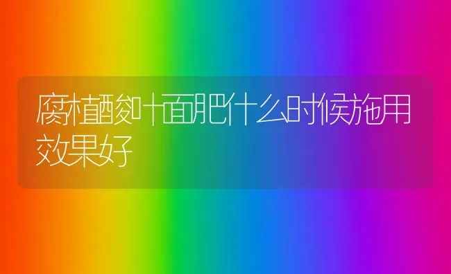 腐植酸叶面肥什么时候施用效果好 | 瓜果种植