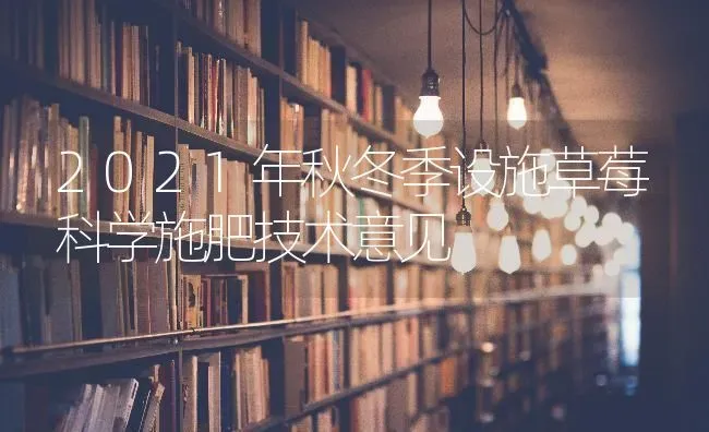 2021年秋冬季设施草莓科学施肥技术意见 | 种植肥料施肥