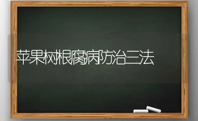 苹果树根腐病防治三法 | 瓜果种植