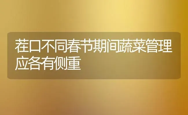 茬口不同春节期间蔬菜管理应各有侧重 | 蔬菜种植