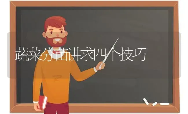 蔬菜分苗讲求四个技巧 | 蔬菜种植