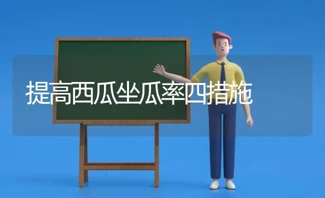 提高西瓜坐瓜率四措施 | 瓜果种植