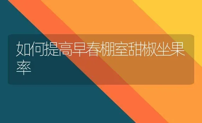 如何提高早春棚室甜椒坐果率 | 瓜果种植