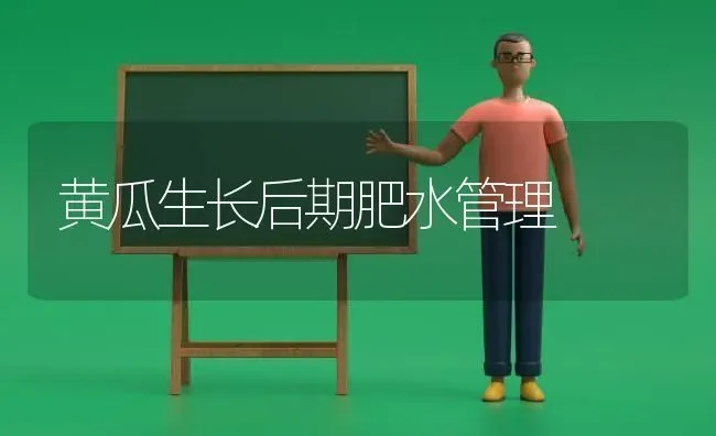 黄瓜生长后期肥水管理 | 蔬菜种植