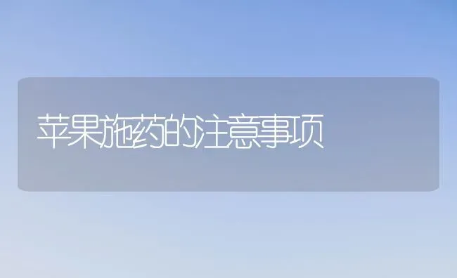 苹果施药的注意事项 | 瓜果种植