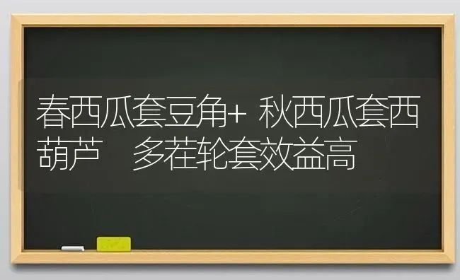 春西瓜套豆角+秋西瓜套西葫芦 多茬轮套效益高 | 瓜果种植