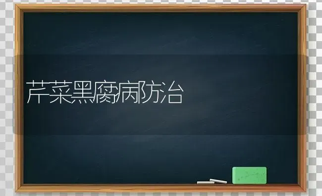 芹菜黑腐病防治 | 蔬菜种植