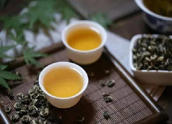 植物浇水|茶叶茶可以浇花吗