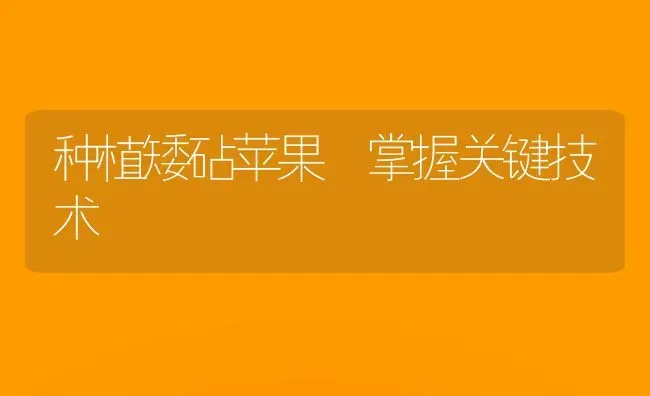 种植矮砧苹果 掌握关键技术 | 瓜果种植