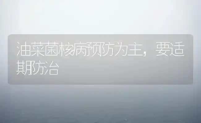 油菜菌核病预防为主，要适期防治 | 粮油作物种植